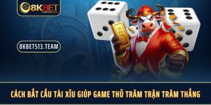 Cách Bắt Cầu Tài Xỉu Giúp Game Thủ Trăm Trận Trăm Thắng