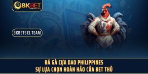 Đá Gà Cựa Dao Philippines - Sự Lựa Chọn Hoàn Hảo Của Bet Thủ