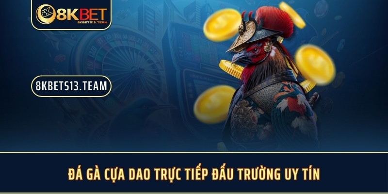 Đá gà cựa dao trực tiếp đấu trường uy tín