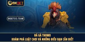 Đá Gà Thomo - Khám Phá Luật Chơi Và Những Điều Bạn Cần Biết